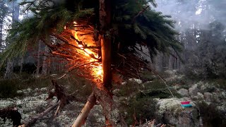 Download Lagu Basic Survival Training - Use This Distress Signal If Lost - Smoke Signal MP3