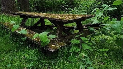 Every picture tells a story in the PhotoLink Library