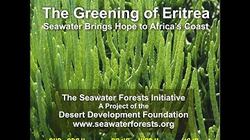 Greening of Eritrea 17 Min