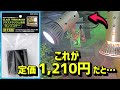 グラステラリウム用のランプステーを購入し追加してみた！【ニホンカナヘビ・爬虫類・飼育】