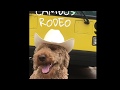 Rodeo