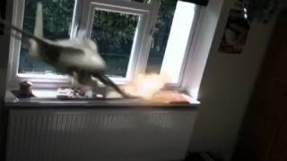 Action Movie FX - The Jet