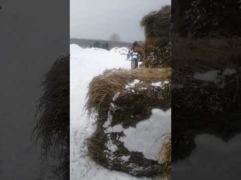 Видео: в декабрь идёт дождь