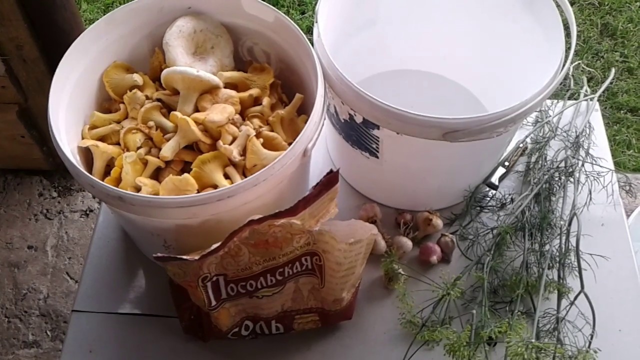 Грибы по деревенски рецепт. Картошка с лисичками. Карточки грибы. Жареные маслята. Картофель запеченный с грибами.