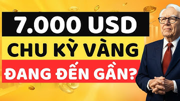 Ngân Hàng Trung Ương Toàn Cầu Ồ Ạt Gom Vàng – Chu Kỳ 7.000 USD Có Đang Đến Gần?