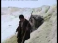 Tusheti Sheep Herding - Horses slide down mountain