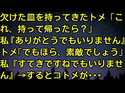 【スカッとする話】欠けた皿を持ってきたトメ「これ、持って帰ったら？」私『ありがとうでもいりません』トメ「でも、ほら、素敵でしょう」私『すてきですねでもいりません』→するとコトメが・・・