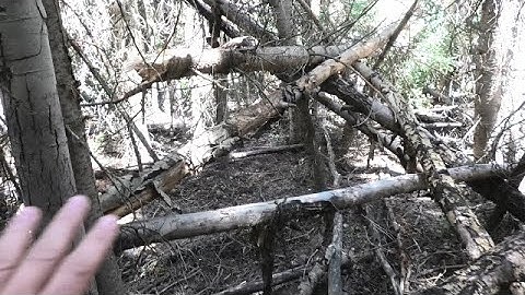 DOT ZER0 - What I could Not Show On The Live Video