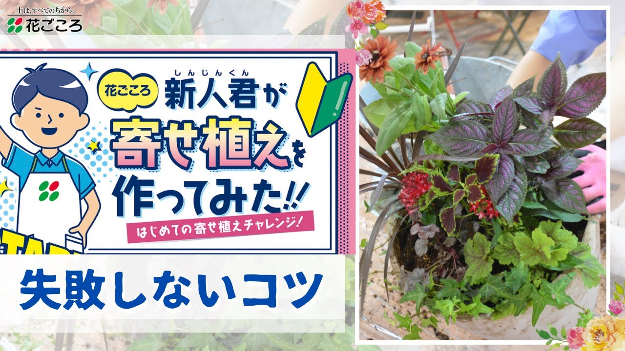 失敗しない！】寄せ植えのコツ【新人君チャレンジ！】 - YouTube