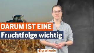 Mehr Erträge, weniger Krankheiten: Das Geheimnis der Fruchtfolge! 🌾📈
