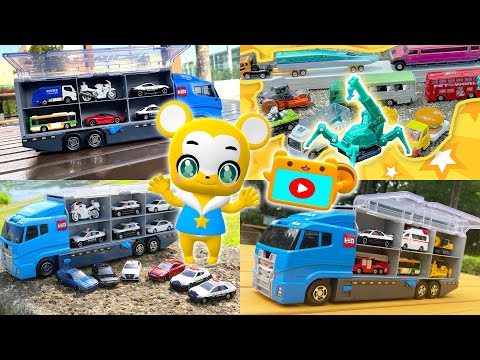Toys] A hide-and-seek medley featuring popular cars! Tomica