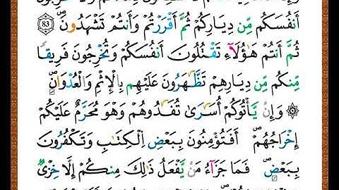 الصفحة رقم (  13 ) من ختمة مصحف التجويد برواية قالون