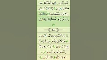 آيات من القرآن الكريم 💞 سورة الانبياء 💞 الآية 28