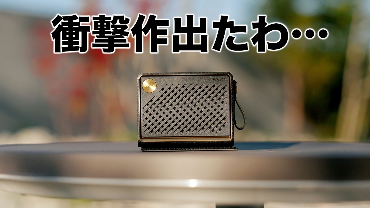 手のひらサイズで、この音。とんでもないスピーカー出たかもしれん／WS-Q1PNK