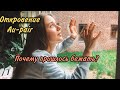 Побег Au-pair из семьи! 😱 Что случилось?! Германия, наши дни.