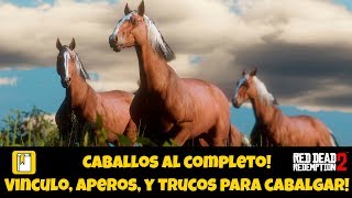 Caballos al completo! Arpeos, vinculo, trucos! RDR 2!