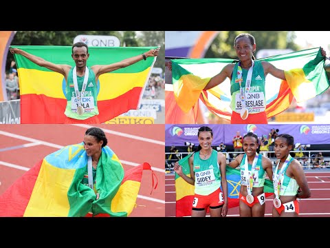 ቪዲዮ: የኦሪገን ዱንስ ብሔራዊ መዝናኛ ስፍራን ይጎብኙ