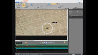 proDAD HIDE Tutorial "How to remove a drone shadow" Wealth