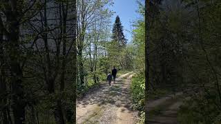 Karadeniz Uşakları 💚