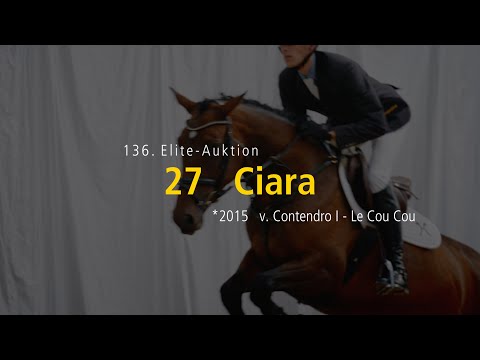 136. Elite-Auktion am 11./12. Oktober, 2019 - Nr. 27 Ciara v. Contendro I - Le Cou Cou