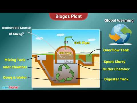 Biogas Plant | Science | Working Model and Explanation