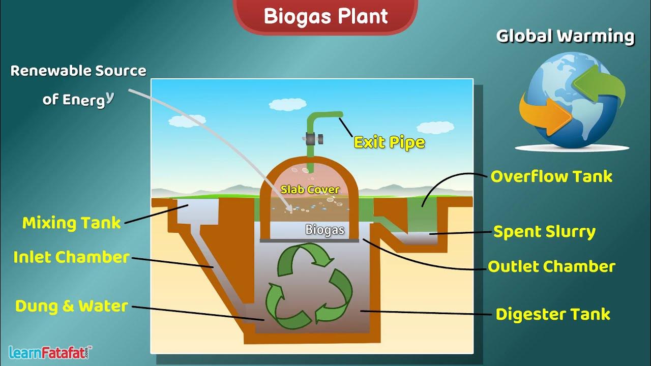 Biogas Plant Science Working Model and Explanation YouTube