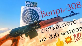 Вепрь-308 // С открытого прицела на 200 метров