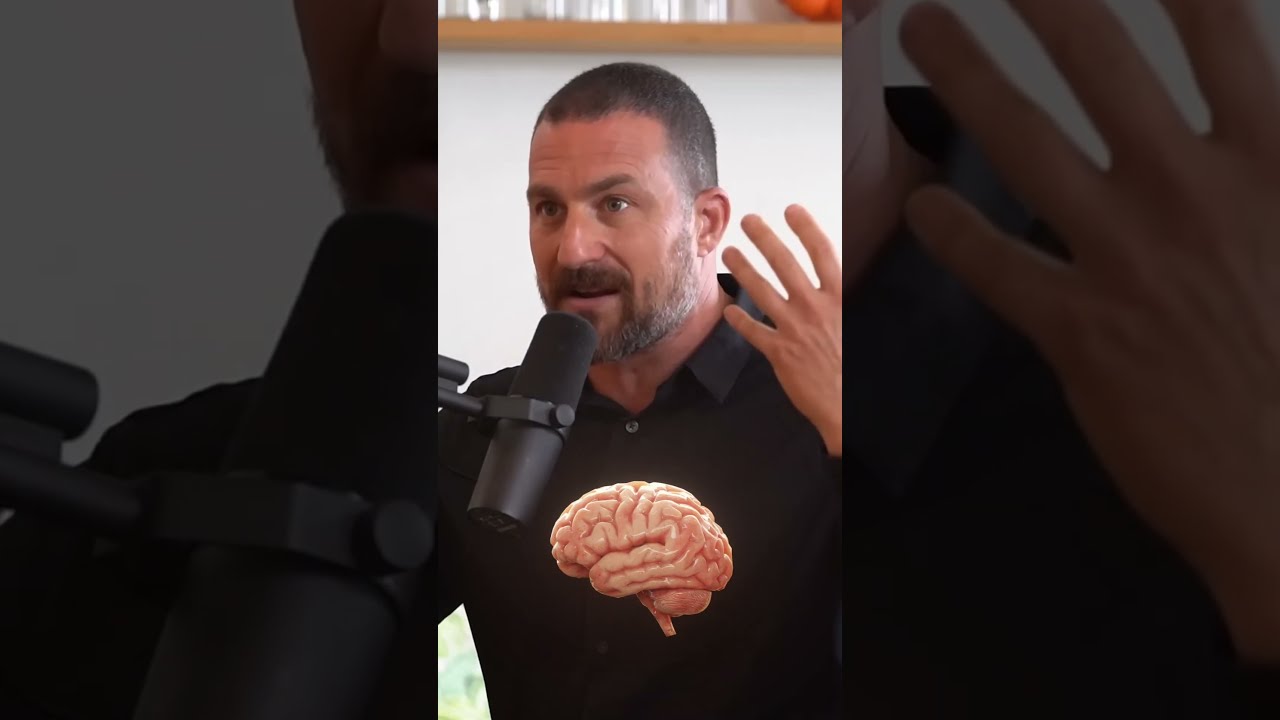 Neuroscientist podcast edit