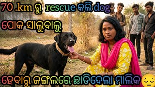 Rott-lab ଉଦ୍ଧାର ହେଲା ଚାଲେଞ୍ଜ କରି ଏକା  ନନ୍ଦପୁର ରୁ ଆଣିଲି dog ଟି କୁ  କିନ୍ତୁ  ସେ ଗୁରୁତର ଅବସ୍ଥାରେ 