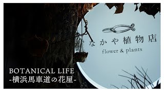 【植物店巡り】美しい植物たちに出会える魅力的な空間「なかや植物店」｜横浜｜馬車道