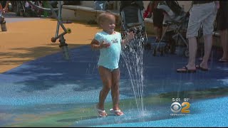 Why Some NYC Neighborhoods Are Hotter Than Others