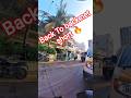 City #streetdogrevival #dog #new #ytviral #rescue