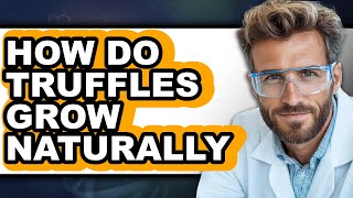 How Do Truffles Grow Naturally (Full Guide)