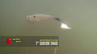 BIG BITE BAITS 3 SIZES OF SUICIDE SHAD RUSS LANE 