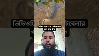 এরকম মাছধরা দেখলে ছোটবেলার কথা মনে পড়ে #shorts #fishing #fish #carpfishing #trending
