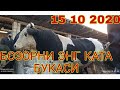 15 10 2020 МОЛ БОЗОР СУРХОНДАРЁ САРИОСИЁ ПАЙШАНБИ БОЗОРИДАН