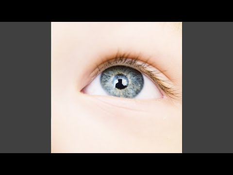Through My Little Eyes