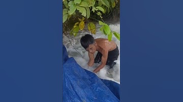 Chặn Suối Đánh Bắt Cá Rất Hay ! #DanhBat#Ca#SongSuoi