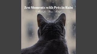 Meow-tiful Raindrop Melodies