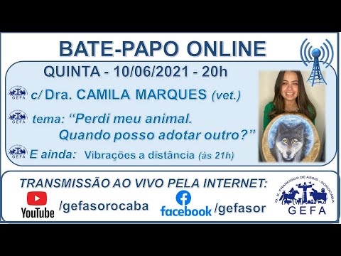 Assista: Palestra Online - c/ CAMILA MARQUES (11/06/2021)