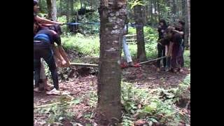 PENDIDIKAN JAKMANIA GARIS KERAS