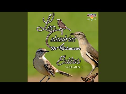 Mi Ranchito