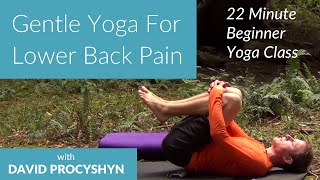 Gentle Hatha Yoga for Lower Back Pain with David Procyshyn