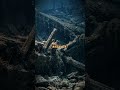 The Shipwreck Mystery Has Been Explained!