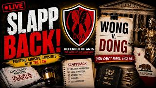 Weather SLAPPBACK: WONG v. DONG — #antislapp #Califorinalitigation #wongvdong #defenderofants Sky View