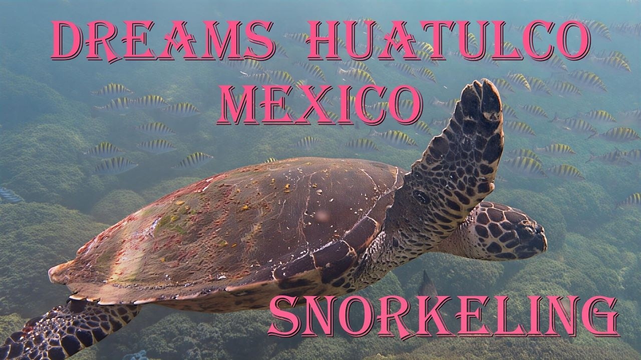 Dreams Huatulco: Pacific Paradise! Snorkeling right from the shore, January 2026.