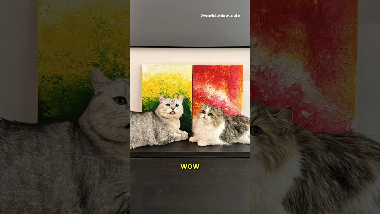 Milo dan Memey melukis untuk Babu😍🎉 