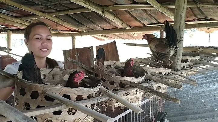 Farm Vlog by Ma'am Marylyn