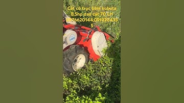 Cắt cỏ trục băm cắt Mọi địa hình￼