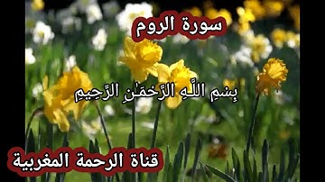 سورة الروم مع الدعاء للشيخ خالد الجليل